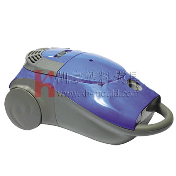 Vacuum cleaner mould